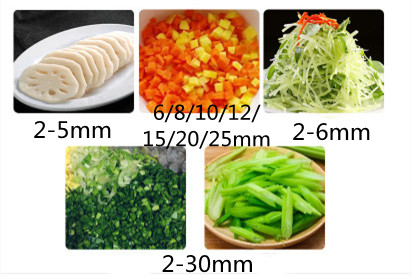 자동 야채 감자 다이서 슬라이서 슈레더 프렌치 프라이  - Vegetable Chopper 리뷰 및 가격