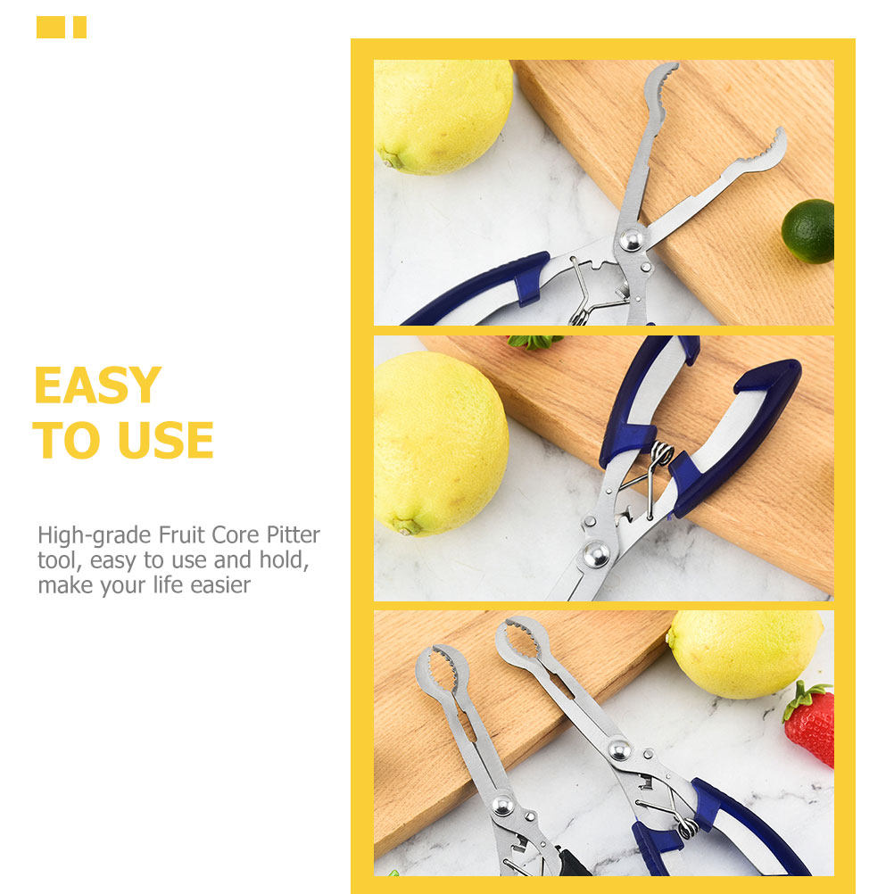 스테인리스 스틸 산사나무 씨 제거 도구, 대추 및 배용 - Kitchen Gadgets Usa 리뷰 및 가격